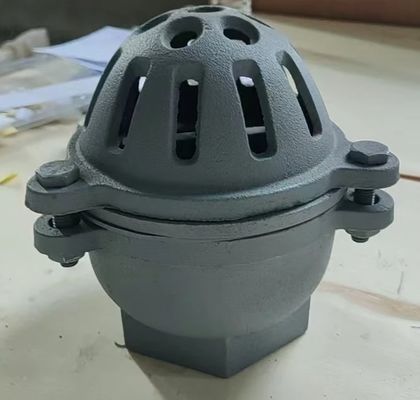 PN10 resilient seal cast iron threaded foot valve