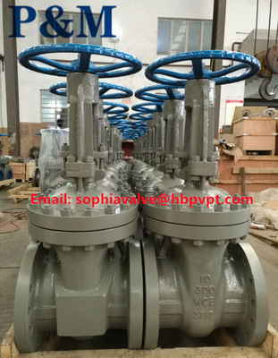 300LB WCB cast steel gate valve