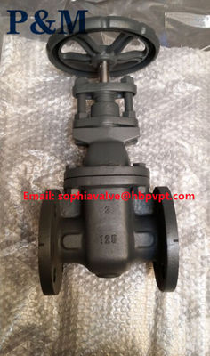 ANSI 125LB ASTM A126B cast iron gate valve
