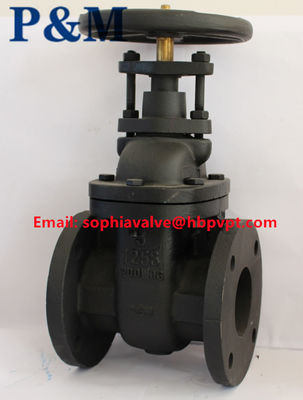 ANSI 125LB ASTM A126B cast iron gate valve