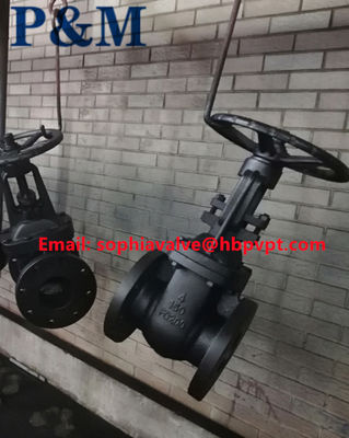 ANSI 125LB ASTM A126B cast iron gate valve