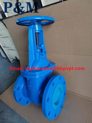 ANSI 125LB ASTM A126B cast iron gate valve