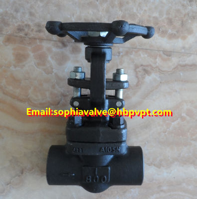 ANSI 800LB forged globe valve