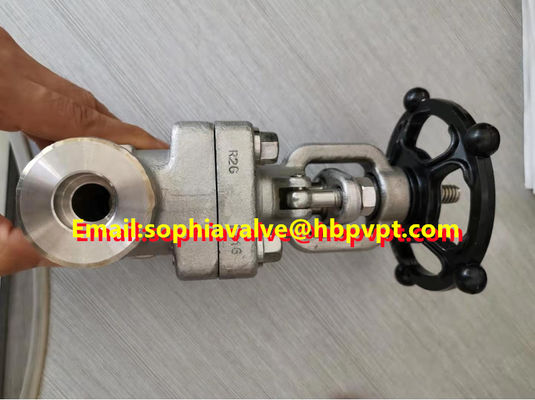 ANSI 800LB forged globe valve