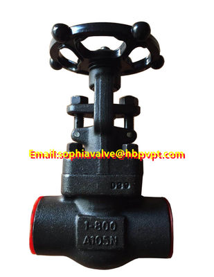 ANSI 800LB forged globe valve