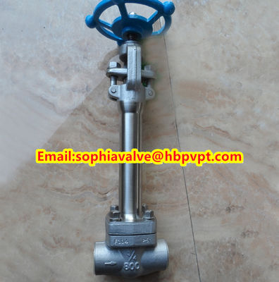 ANSI forged stainless steel globe valve