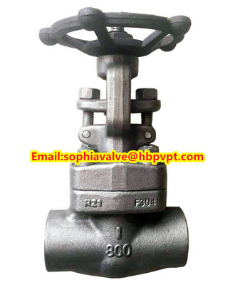 ANSI forged stainless steel globe valve