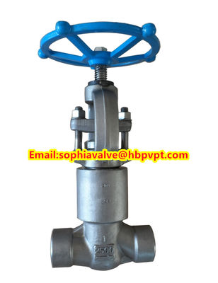 ANSI forged stainless steel globe valve