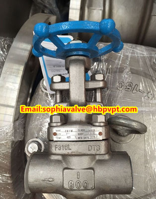 ANSI forged stainless steel globe valve