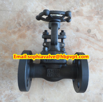 ANSI A105N forged gate valve