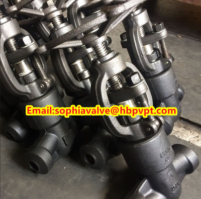 ANSI A105N forged gate valve