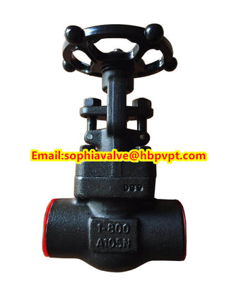 ANSI A105N forged gate valve