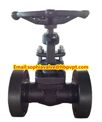 ANSI A105N forged gate valve