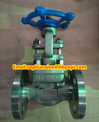 ANSI F321 F316 stainless steel forged gate valve