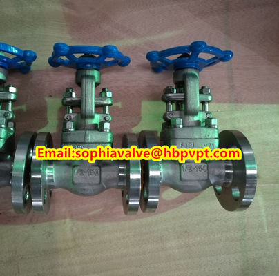 ANSI F321 F316 stainless steel forged gate valve