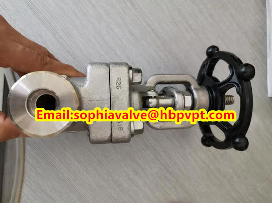 ANSI F321 F316 stainless steel forged gate valve