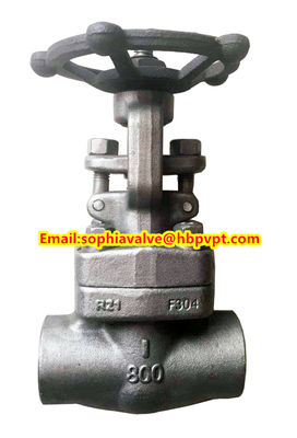 ANSI F321 F316 stainless steel forged gate valve