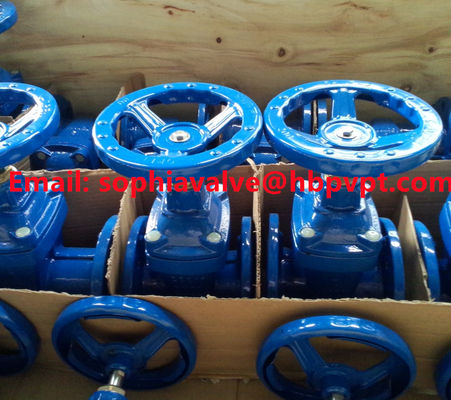 PN10 PN16 DIN standard gate valve