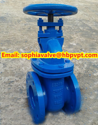 BS3464 PN10 Non-rising cast iron gate valve