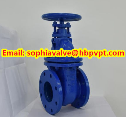 BS3464 PN10 Non-rising cast iron gate valve
