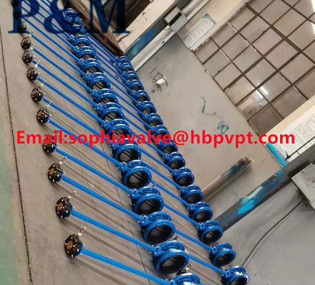 BS5155 flange end butterfly valves
