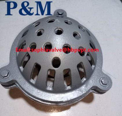 PN16 BS21 cast iron foot valve
