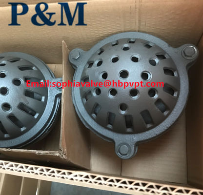 PN16 BS21 cast iron foot valve