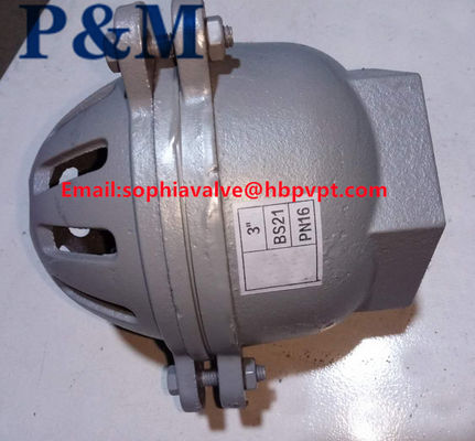 PN16 BS21 cast iron foot valve