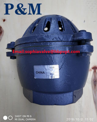 cast iron GG20 3INCH foot valve