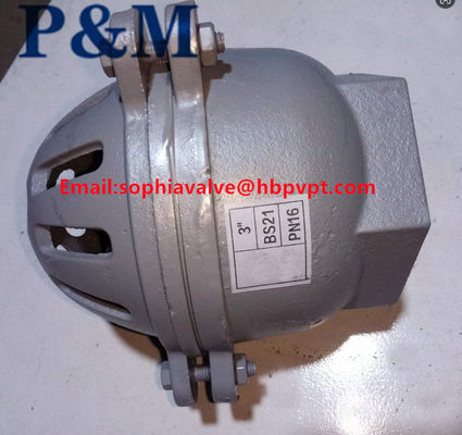 cast iron GG20 3INCH foot valve
