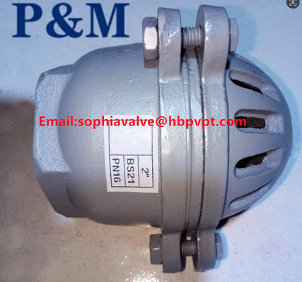 cast iron GG20 3INCH foot valve