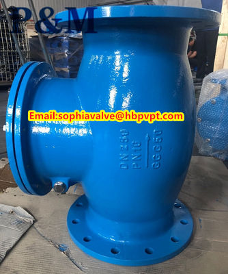 BS5153 cast iron swing check valve