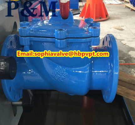 BS5153 cast iron swing check valve
