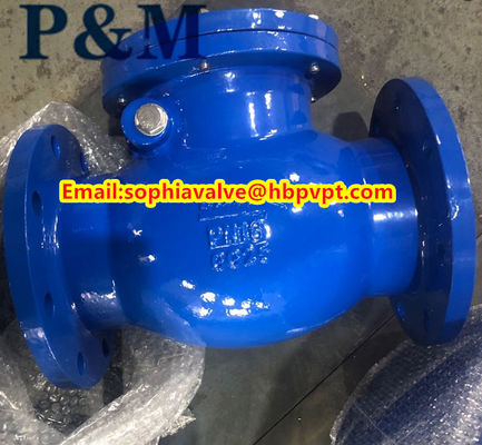 BS5153 cast iron swing check valve