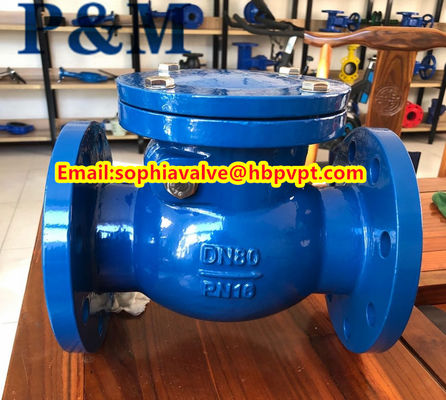 BS5153 cast iron swing check valve