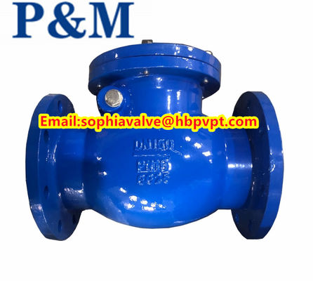 DN100 PN16 GG25 cast iron swing check valve