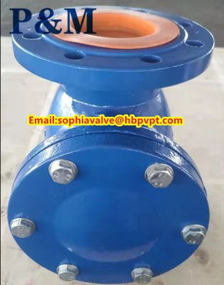 DN100 PN16 GG25 cast iron swing check valve