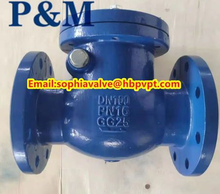 DN100 PN16 GG25 cast iron swing check valve