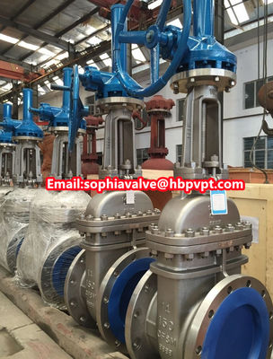 150lb CF8M stainless steel cast steel gate valve