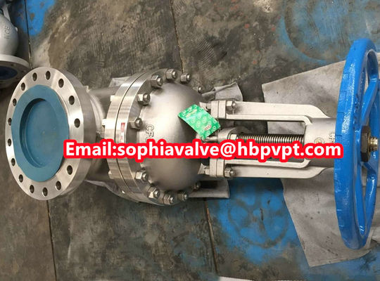10 inch 300LB CF8M gate valve