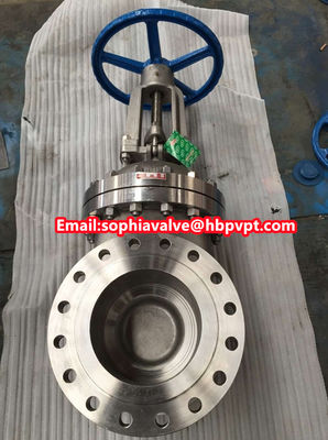 10 inch 300LB CF8M gate valve
