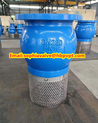 PN16 GG25 cast iron foot valve