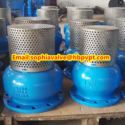 PN16 GG25 cast iron foot valve