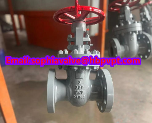 ANSI CLASS300 WCB gate valve handwheel