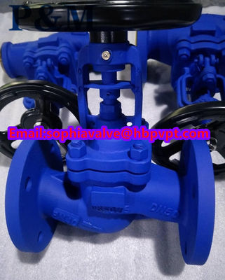 DIN PN40 GS-C25 bellows globe valve
