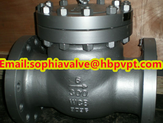WCB cast steel ANSI swing check valve