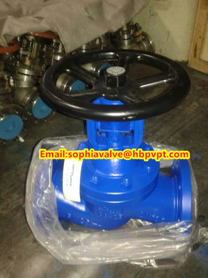 DN80 PN16 GG25 DIN globe valve