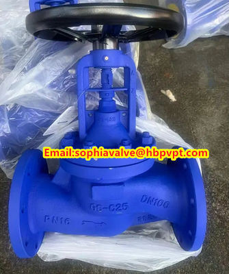 GG25 DIN flange end globe valve