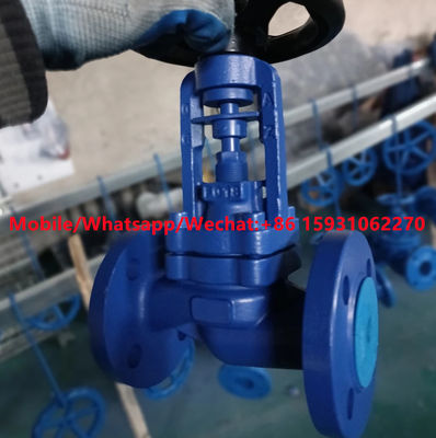 DIN3356 GG25 PN16 cast iron globe valve