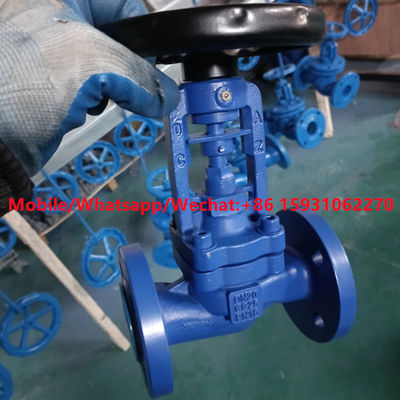 DIN3356 GG25 PN16 cast iron globe valve